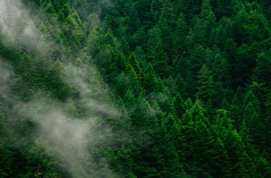 Blockchain-based Tokenization for decentralized Issuance and Exchange of Carbon Offsets
