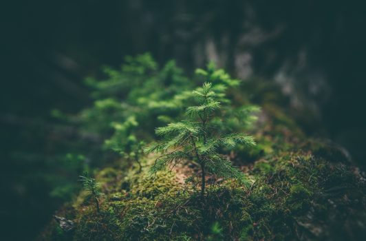 De overeenkomst tussen een ESG-rating en een verdrinkingsdood